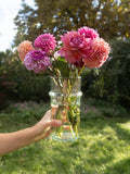 Beldi Vase - Clear