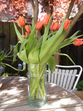 Beldi Vase - Clear