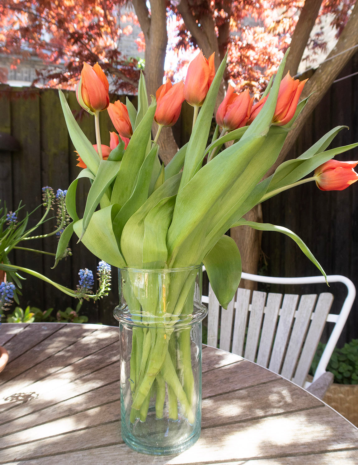 Beldi Vase - Clear