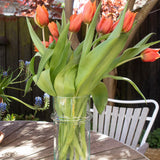 Beldi Vase - Clear