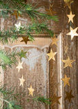 Indian Christmas - Star Garland